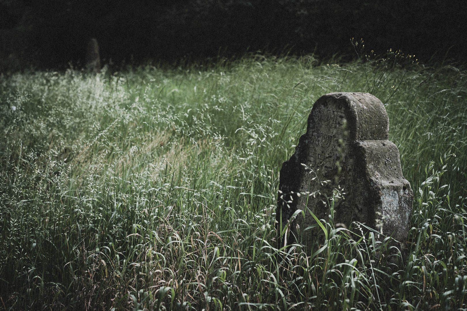 Rheda Wiedenbrück 0508